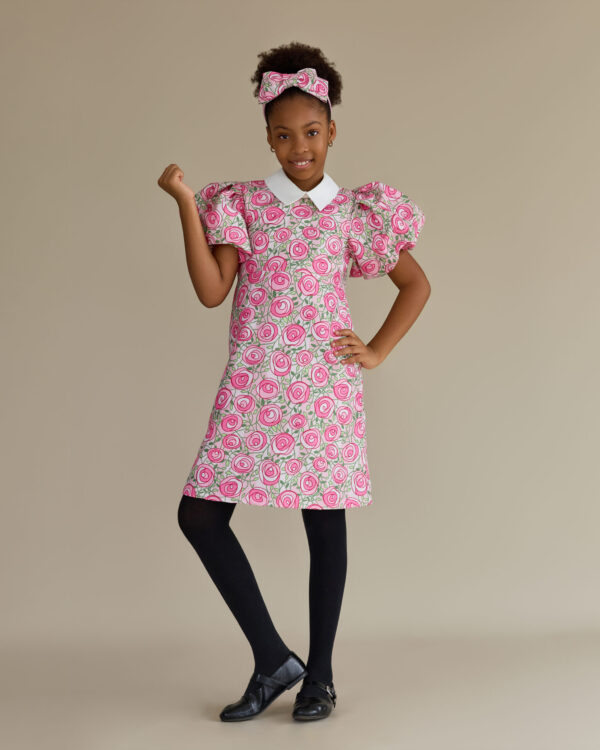 LS Sofia dress with collar