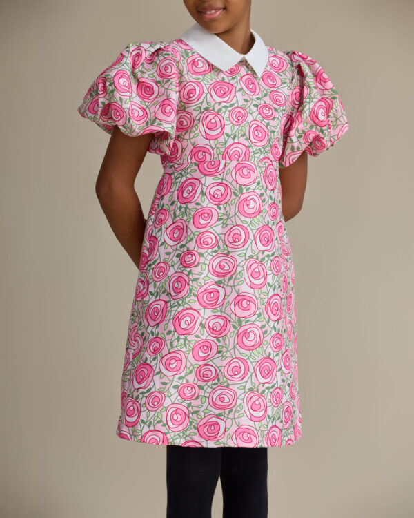 LS Sofia dress with collar - Image 2