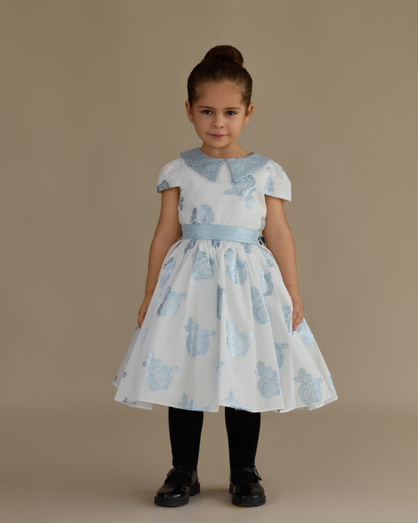 LS H white and blue floral dress